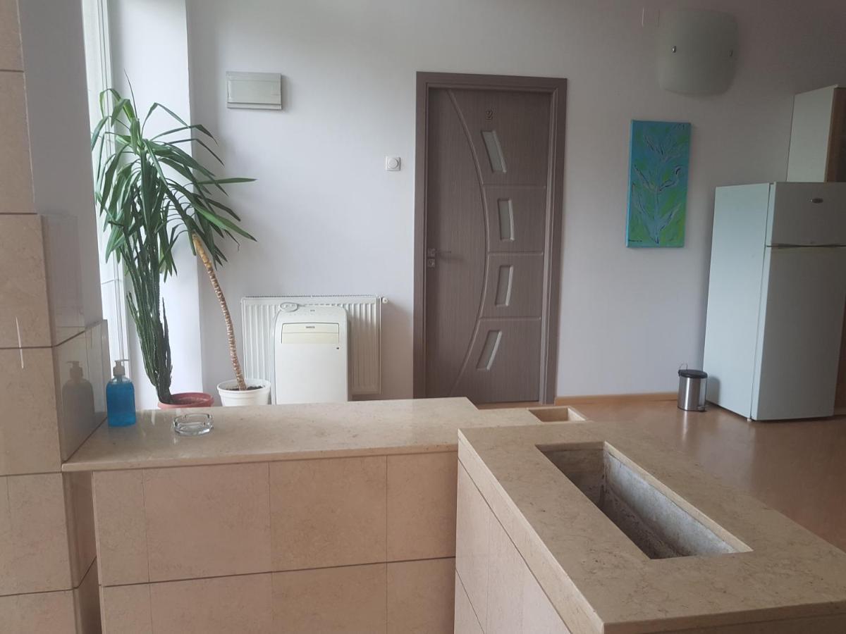Lara Guest House Sfântu-Gheorghe Eksteriør bilde